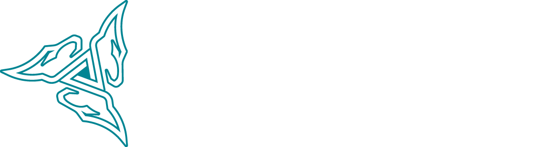 PT. Sirius Surya Sinergy